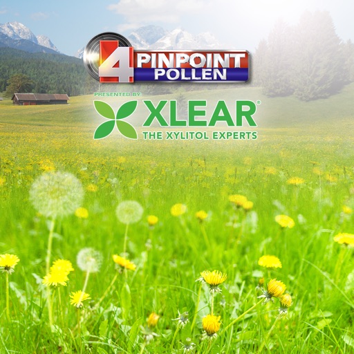 ABC4 Pollen icon