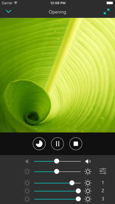 mycoocoon Color Institute - Color Therapy iPhone screenshot 3 - Health & Fitness app