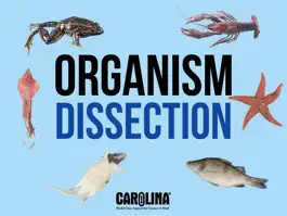 Game screenshot Organism Dissection Free mod apk