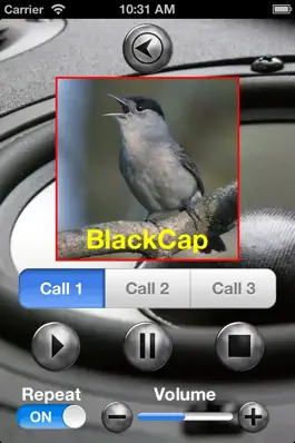 Game screenshot Birds Mimic hack