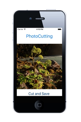 PhotoCutting Pro screenshot 3