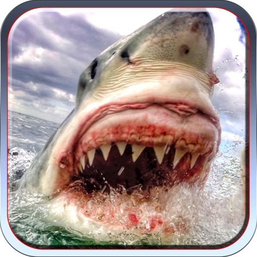 2016 Sea Shark Attack : Real Deep Water Deadly Monster Revenge (Hunter Adventurous Edition) icon