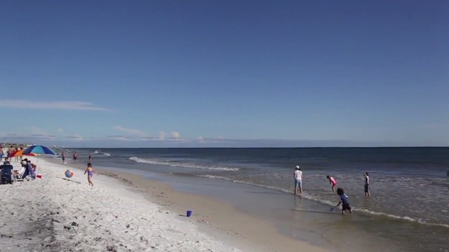 VISIT FLORIDA Couch Vacation(圖5)-速報App
