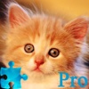 Kitty Jigsaw Puzzle Pro