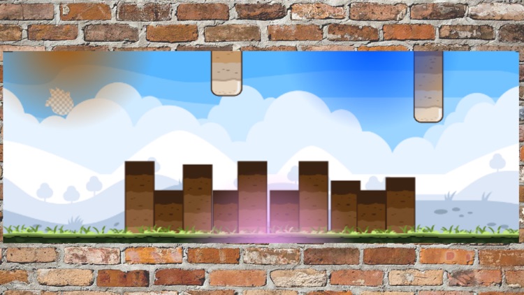 The flappy birds (New version)