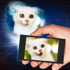 Projector Cat 3D Prank