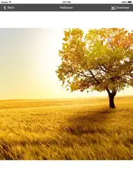 Wallpaper Collection Nature Edition ipad bilder 2