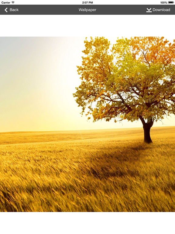 Screenshot #3 for Wallpaper Collection Nature Edition