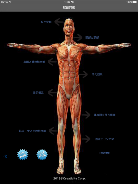 Screenshot #4 pour Handy Anatomy