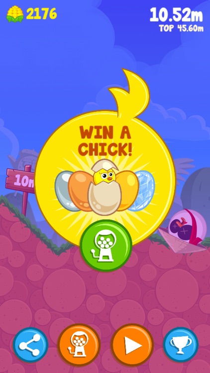 Pogo Chick