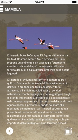Mare Montagna e Lagune(圖2)-速報App
