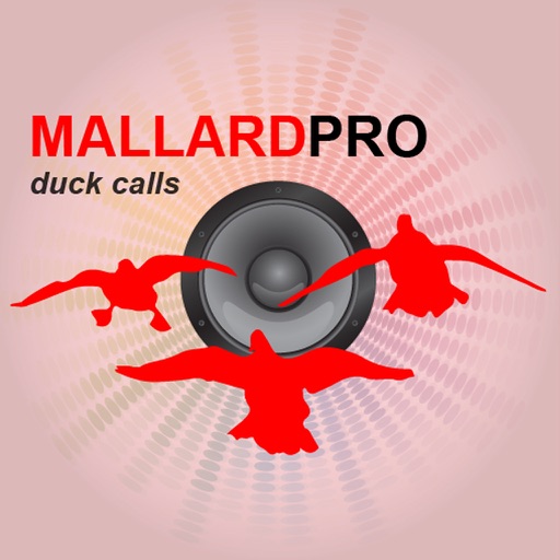 Duck Hunting Calls-Duck Sounds Duck Calling icon