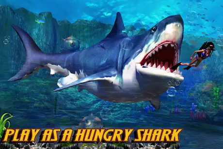Shark io