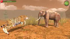 Hungry Tiger 3D iPhone image 2