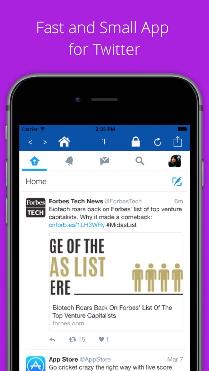 Mini for Twitter - with Lock Feature
