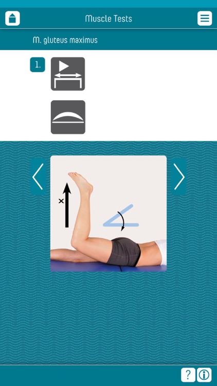 Muscle Test part 3