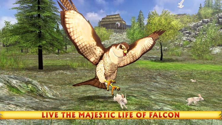 Wild Falcon Simulator 3D