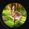 Rabbit Hunting Game