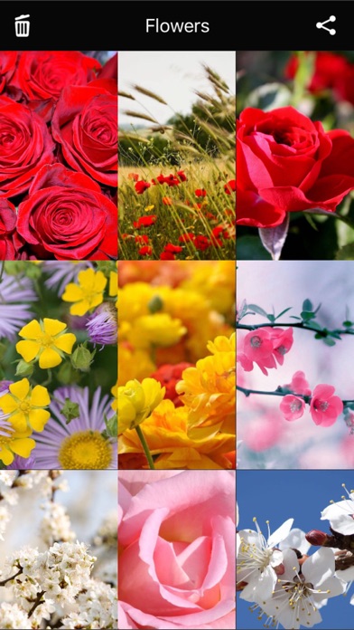 Screenshot #3 pour Flowers HD Wallpaper - Great Collection