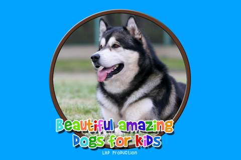 beautiful amazing dogs for kids - free screenshot 2