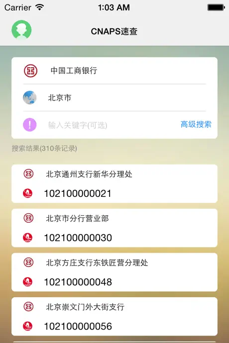CNAPS速查-中国现代化支付系统编码大全