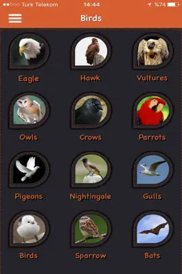 Game screenshot 2016 Animal Sounds Free apk