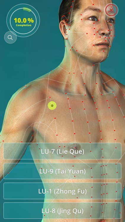 Acupuncture Quiz - Point Locations