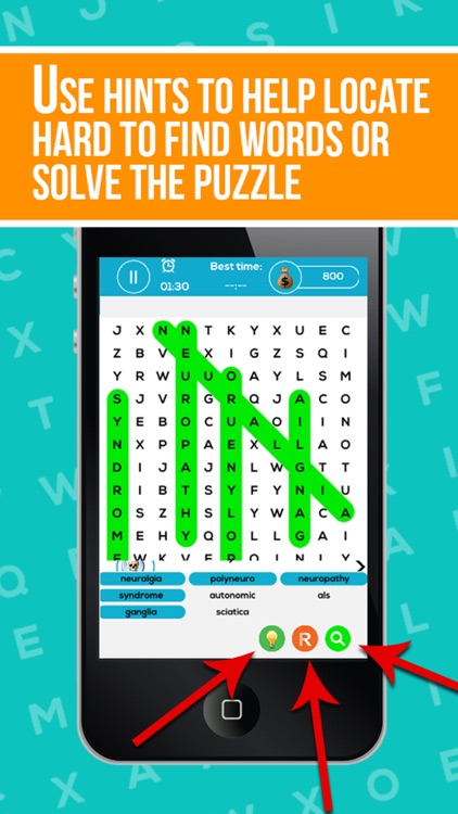 Neuroanatomy Word Search - Nervous System Puzzle