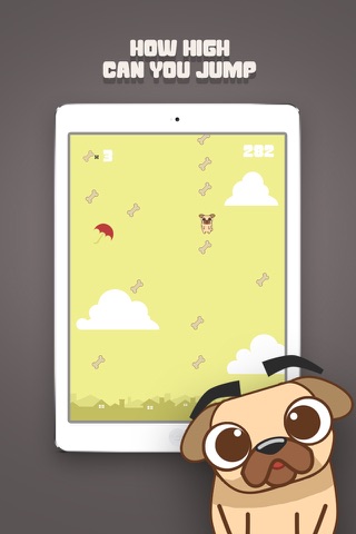 Fly Pug Fly Pro screenshot 2