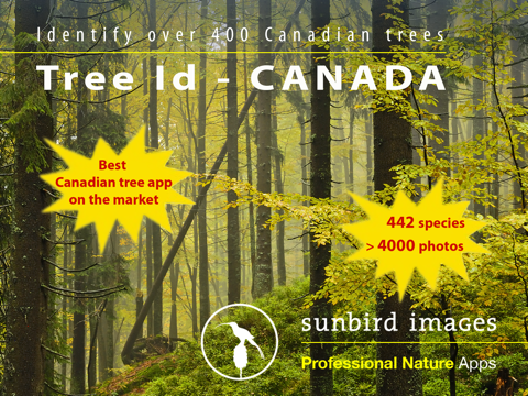 Screenshot #4 pour Tree Id Canada - identify over 1000 native Canadian species of Trees, Shrubs and Bushes