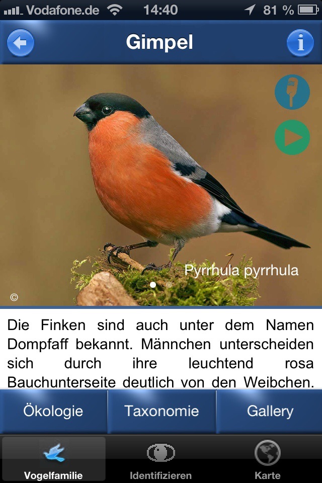 Vogel Id Österreich - Vögel Erkennen und Bestimmen in Natur und Garten screenshot 3