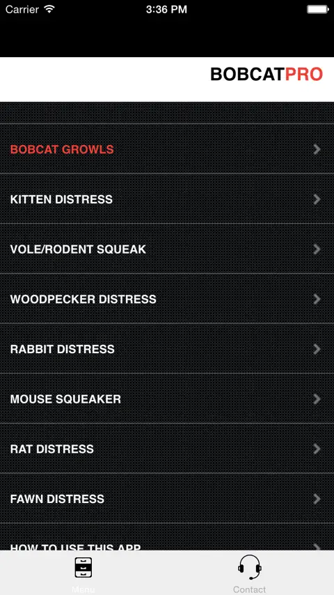 how to hunt bobcat - Ilustrasi 3