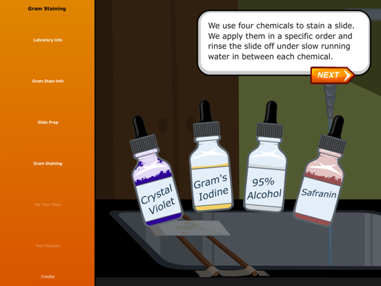 Virtual Labs: Gram Staining iPad screenshot