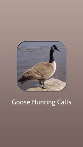 Game screenshot Goose Hunting Calls! mod apk
