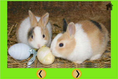 amazing rabbits for kids - free screenshot 3
