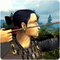 Activities of Samurai Warrior Assassin