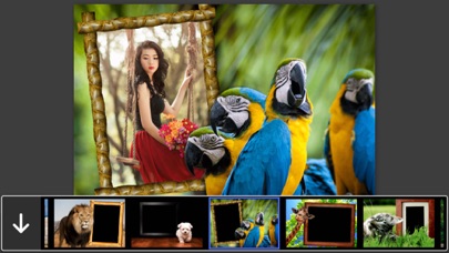 Screenshot #1 pour Animal Photo Frames - Creative Frames for your photo