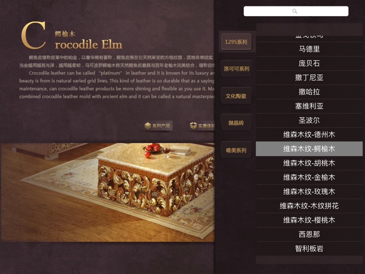 马可波罗瓷砖(多媒体)