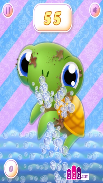 Turtle Washing Clean The Turtle