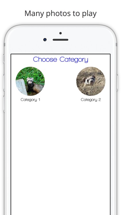 Find the Difference in Ferret screenshot-4