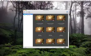willing webcam pro айфон картинки 4