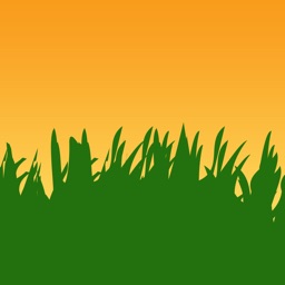 All Natural Stone & Grass