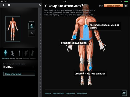 Screenshot #4 pour Виртуальное человеческое тело