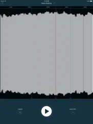 wiretap riff recorder ipad resimleri 2