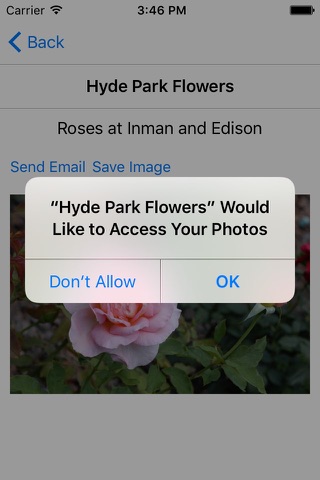 Hyde Park Flowers screenshot 3