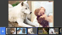 Game screenshot Wolf Photo Frame - Great and Fantastic Frames for your photo mod apk