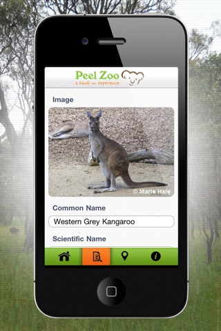 Peel Zoo screenshot 3