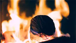 Game screenshot Wonder Fireplace - Video Wallpaper of Relaxing Scenes apk