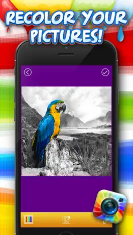 Game screenshot Color Splash Photo Studio – Recolor Editing Tool with Pop Retouch Effects apk