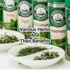 Various Herbs and Their Benefits